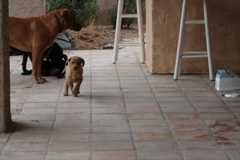 First outing - 1